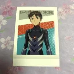 エヴァンゲリオン　ぱしゃこれ　碇シンジ　　39