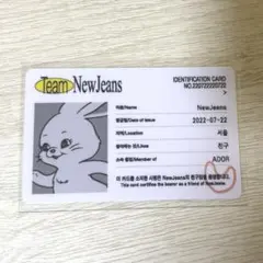 NewJeans Bluebook ver. IDカード