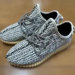turtledove yezzy boost