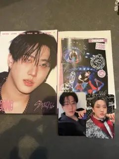 チャンビン　 straykids KARMA accordionコンプセット