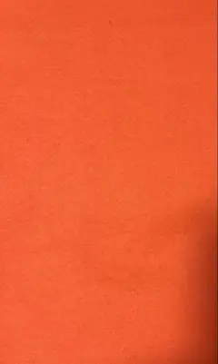 オレンジ フェルト生地