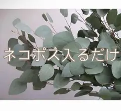 Item thumbnail for item 02b0304d-4251-4a84-b7b5-af5fc58d714f