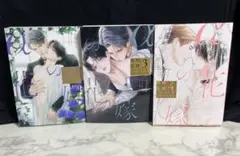 αの花嫁 共鳴恋情 2〜４　３冊セット