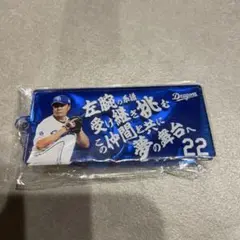 中日ドラゴンズ　応援歌キーホルダー　大野雄大