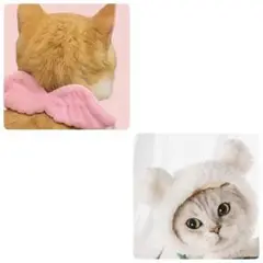 Item thumbnail for item 50d4831d-3cb8-4722-8aea-dc0a45377533