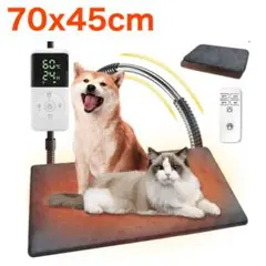 Item thumbnail for item f0b895b7-52d3-45b1-8b1d-63190b8dc52f