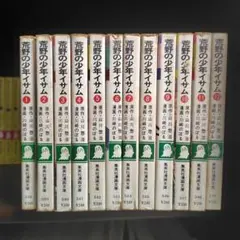 お値下げ　漫画文庫　荒野の少年イサム 全12巻セット