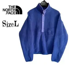 希少★THE NORTH FACE ザノースフェイス ハーフボタン フリース
