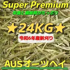Item thumbnail for item 94a35643-3e89-4cf9-aea7-423d959b4d9c