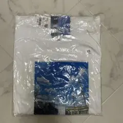 【新品】ユニクロ すずめの戸締まり UT グラフィックTシャツ 白 新海誠