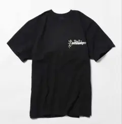 Stussy BOKAY PIG. DYED TEE