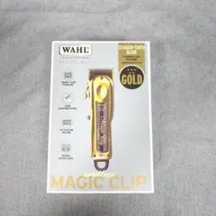 Item thumbnail for item 454dfcf1-e2f1-46e8-8651-ce07041208c9