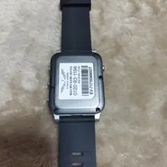 イーグルビジョン(ゴルフナビ)