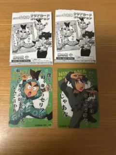 忍たま乱太郎　カードまとめ売り　おまけ付き