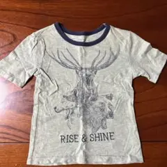 baby Gap ：105cm
