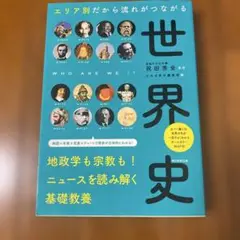 美品✨エリア別だから流れがつながる世界史