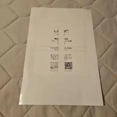 LOOF ブルーライトカット保護フィルム 2枚入り