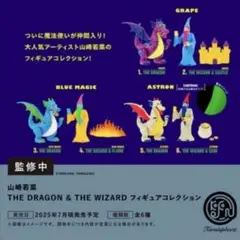 山崎若菜THE DRAGON & THE WIZARD コンプリート 6種