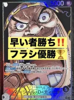 フラッグシップ 優勝構築 黒ティーチ