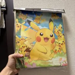 【新品】ポケモンカードコレクションファイル A4 ピカチュウ大集合