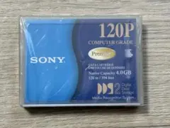 SONY DDS-2 データカートリッジ DGD120P 4GB