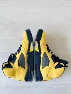 Item thumbnail for item 914e0437-a8c4-4a17-9347-e2e8dfd7bbac