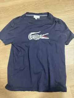 LACOSTE ネイビー Tシャツ FR 2 / US XS