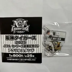 Item thumbnail for item 301e5993-d6e8-49f3-88ab-c384cbe6e489