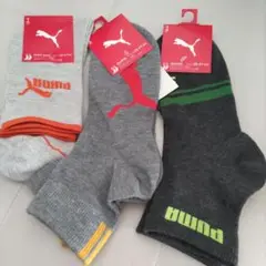 Item thumbnail for item 88e1ef03-405d-4ef2-9cdf-ce56e350f755