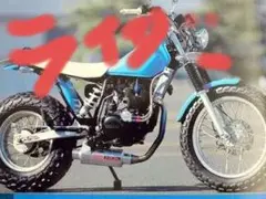 TW200.225マフラー　ライトステー　ビューティーフルライフ　キムタク TW200.225マフラーライトステービューティーフルライフキムタク