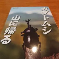 カブトムシ山に帰る