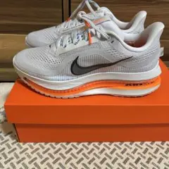 Item thumbnail for item 232a9f2f-76da-4fec-b4cd-dce743e86264