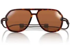 Item thumbnail for item 5f3a132c-609f-4c89-a8b9-997601d07146