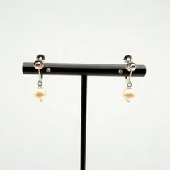 Item thumbnail for item 3eb4a4fd-f258-4119-b53f-bf694281726f