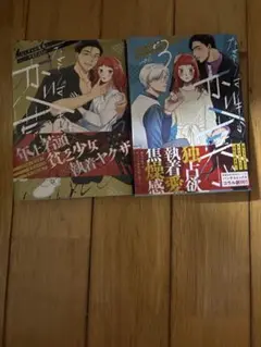ならずもの恋慕 2 ・3巻