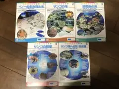 美ら海観察ガイド　10枚セット