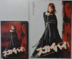 「スカイハイ 劇場版 」DVD&パンフレット