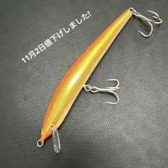 2025年最新】ザウルス ソルティーブラウニーの人気アイテム