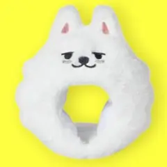 プルバトゥ ペンライトカバー ヨンモン ACT : TOMORROW スビン