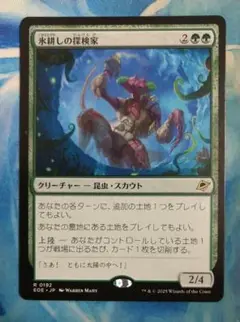 MTG 氷耕しの探検家/Icetill Explorer EOE 通常枠日本語版