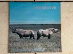 ◆mother earth◆compare yourself◆UK盤アナログ◆
