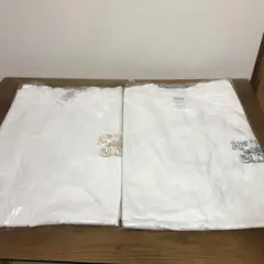 2枚セット M 綿100% サーフヌードル Tシャツ ブラウン ブルー