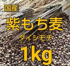 もち麦1kg ① 紫もち麦 ダイシモチ 食べやすく精麦済
