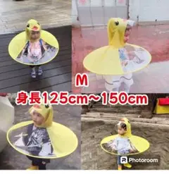 Item thumbnail for item 75bab53b-0588-421d-a0c5-a81c781aa821