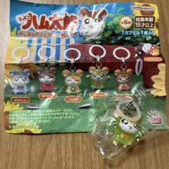 ハム太郎　めじるしアクセサリー2 トラハムくん