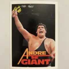 WWFプロレスアンドレ・ザ・ジャイアント トレーディングカードNo 10