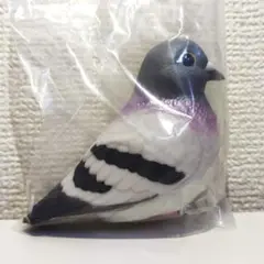てのりフレンズ　鳩　イマジネーションミックス　いつもの君　アニマルフィギュア