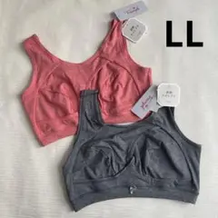 Item thumbnail for item 524867cd-872c-4d9d-ad89-a124d7d5f158