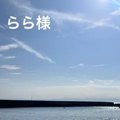 らら様リクエスト1点