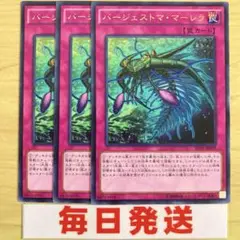 遊戯王 バージェストマ・マーレラ　３枚 字レア　ピヴォ